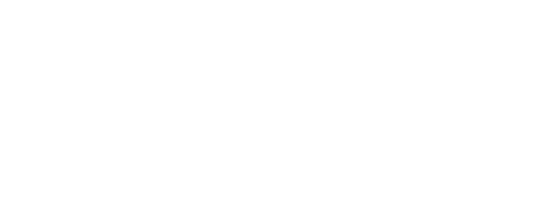 Expert